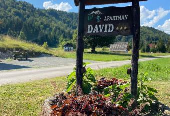 Apartment David has Smoking/Balcony rooms
