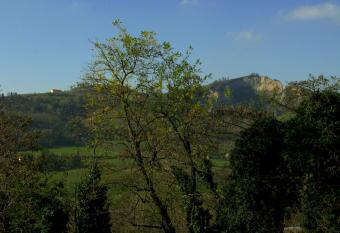 Hotel Bellevue has Smoking rooms