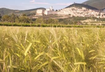 B&B Domus Benedicta has Balcony rooms