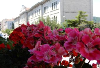 Luciano And Son has Balcony rooms