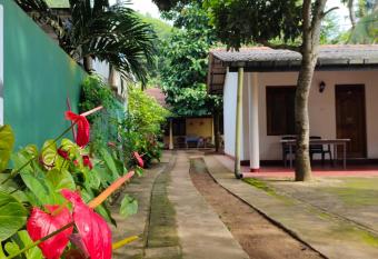 Ancient Tree has Balcony rooms