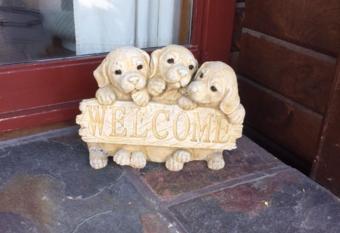 Travellers Retreat B&B allows 18 year olds to book a room