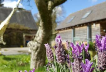 The Dorm Bed and Breakfast allows 18 year olds to book a room