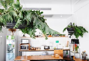 Green Sleep Hostel allows 18 year olds to book a room