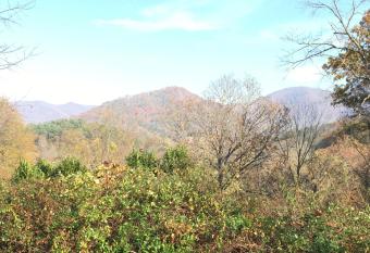 Serenity Views Bungalow - Close to City and Parkway! has rooms with a private hot tub