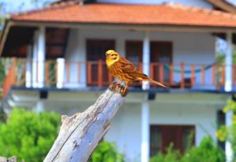 Pearl Cave Cabanas & Resturant has Balcony rooms