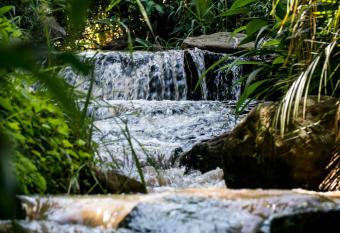 Africa s Eden Guesthouse has Balcony rooms