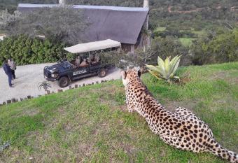 Hopewell Private Game Reserve has Balcony rooms