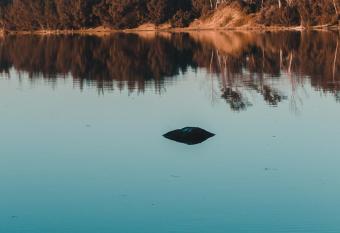 The Prawn Hatchery Pty Ltd on Amatikulu has Balcony rooms