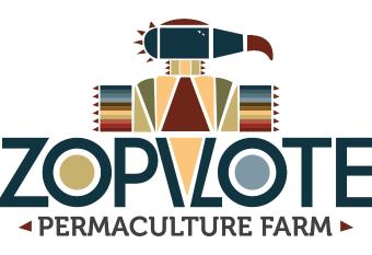 El Zopilote has Balcony rooms