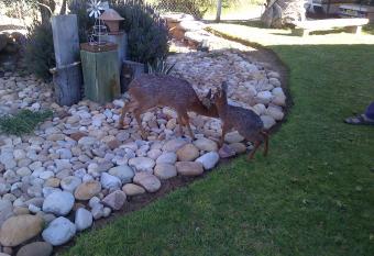 Grysbok Self Catering Accommodation has Balcony rooms