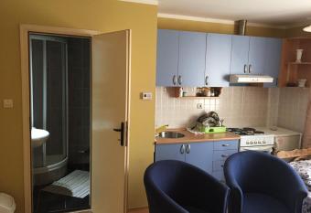 Apartments Pantelic has Smoking rooms