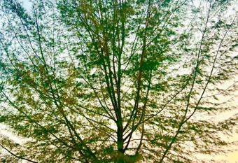 Oriental Beach By Winnie has Balcony rooms