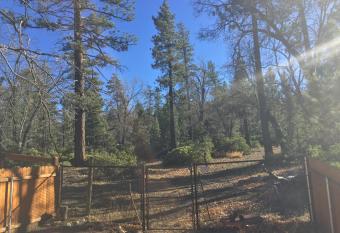Little Brown Bear has rooms with a private hot tub