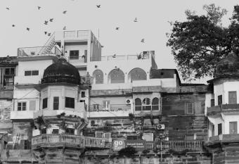 Dwivedi Hotels Hotel Elena has Balcony rooms