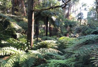 Emerald Creek Cottages has rooms with a private hot tub