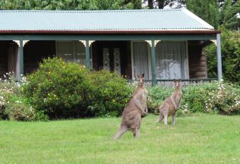 Cedar Lodge Cabins allows 18 year olds to book a room