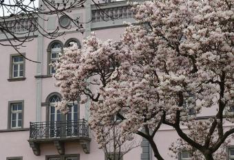 Rittergut Rottewitz has Balcony rooms