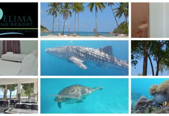 Delima Redang Resort allows 18 year olds to book a room