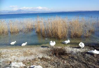 Debora Maison B&B allows 18 year olds to book a room