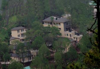 Jungle Lodge Resort has Balcony rooms