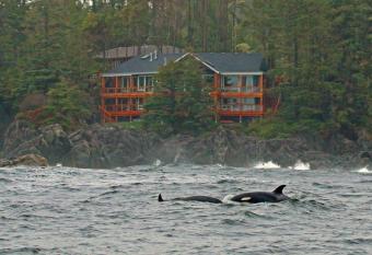 Melfort Bell Guest Suites has Balcony rooms