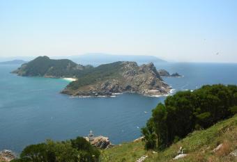 Apartment Plaza Fernando allows 18 year olds to book a room