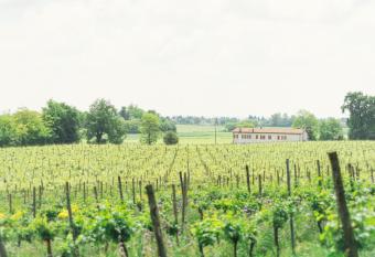 La Cascinetta has Balcony rooms