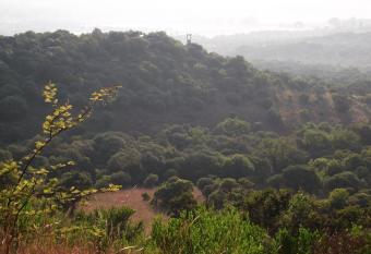 Shamba Yetu Mountain Lodge has Balcony rooms