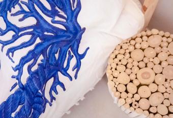 Casa Michela has Balcony rooms