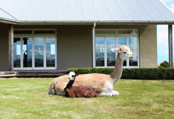 Gallin Farm Alpacas and Farmstay allows 18 year olds to book a room