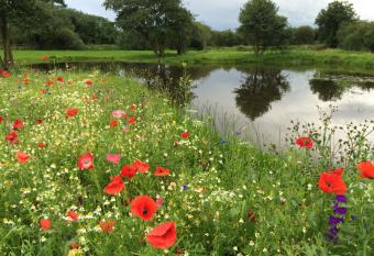Ashbrook House Apartments has Balcony rooms