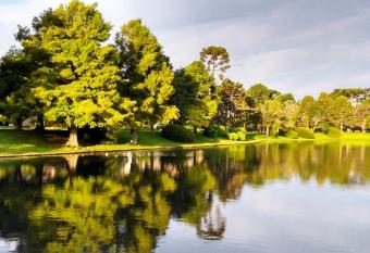 Flat no Hotel Mountain Village has Balcony rooms