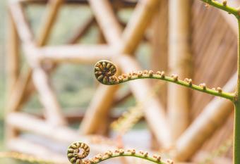 Hotel Guatape Adrianas Bambu has Balcony rooms