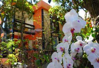 Casa Di Gaya allows 18 year olds to book a room