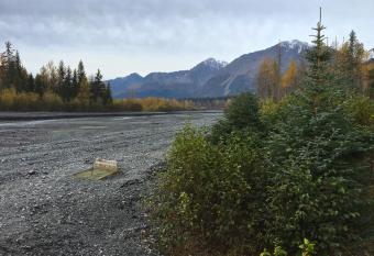 Glacier Creek Cabins has Balcony rooms