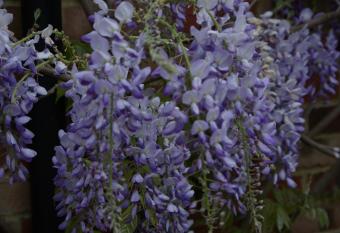 5 Charlton Mill Way B&B allows 18 year olds to book a room