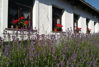 Szent Iv  n Vend  gh  z has Balcony rooms