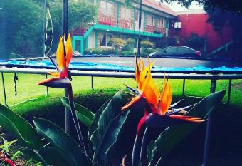 Hotel Las Fumarolas de Don Goyo Cholula has Balcony rooms