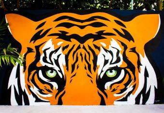 El Tigre de Santiago allows 18 year olds to book a room