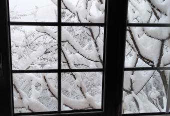 Guest House Waterfall has Balcony rooms