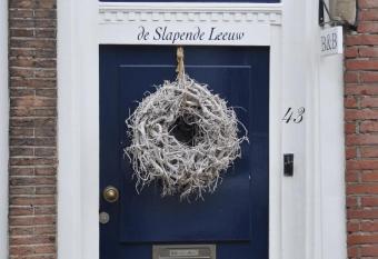 De Slapende Leeuw allows 18 year olds to book a room