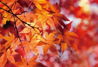 Wulai Town House has Balcony rooms