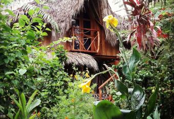 La Urraca Loca Hostel allows 18 year olds to book a room