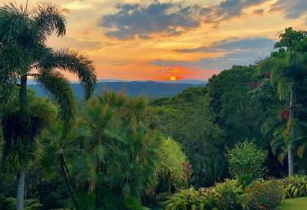 Daintree Manor B&B has Balcony rooms