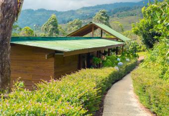 Ecolodge Rain has Balcony rooms