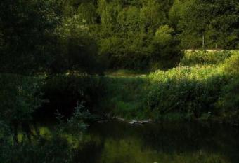 Lahnhaus Br  hl/ Fende Haus has Balcony rooms