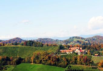 Sattlerhof Genie  erhotel & Weingut has Balcony rooms
