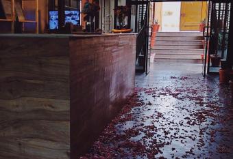 Beit Alward has Balcony rooms