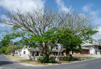 Paseo Suites El Valle, Luxury Apartments has Balcony rooms